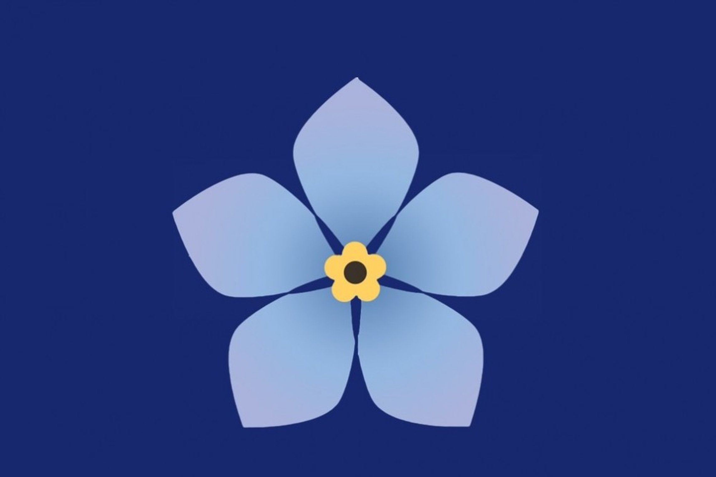 Žibutė tamsiai mėlyname fone