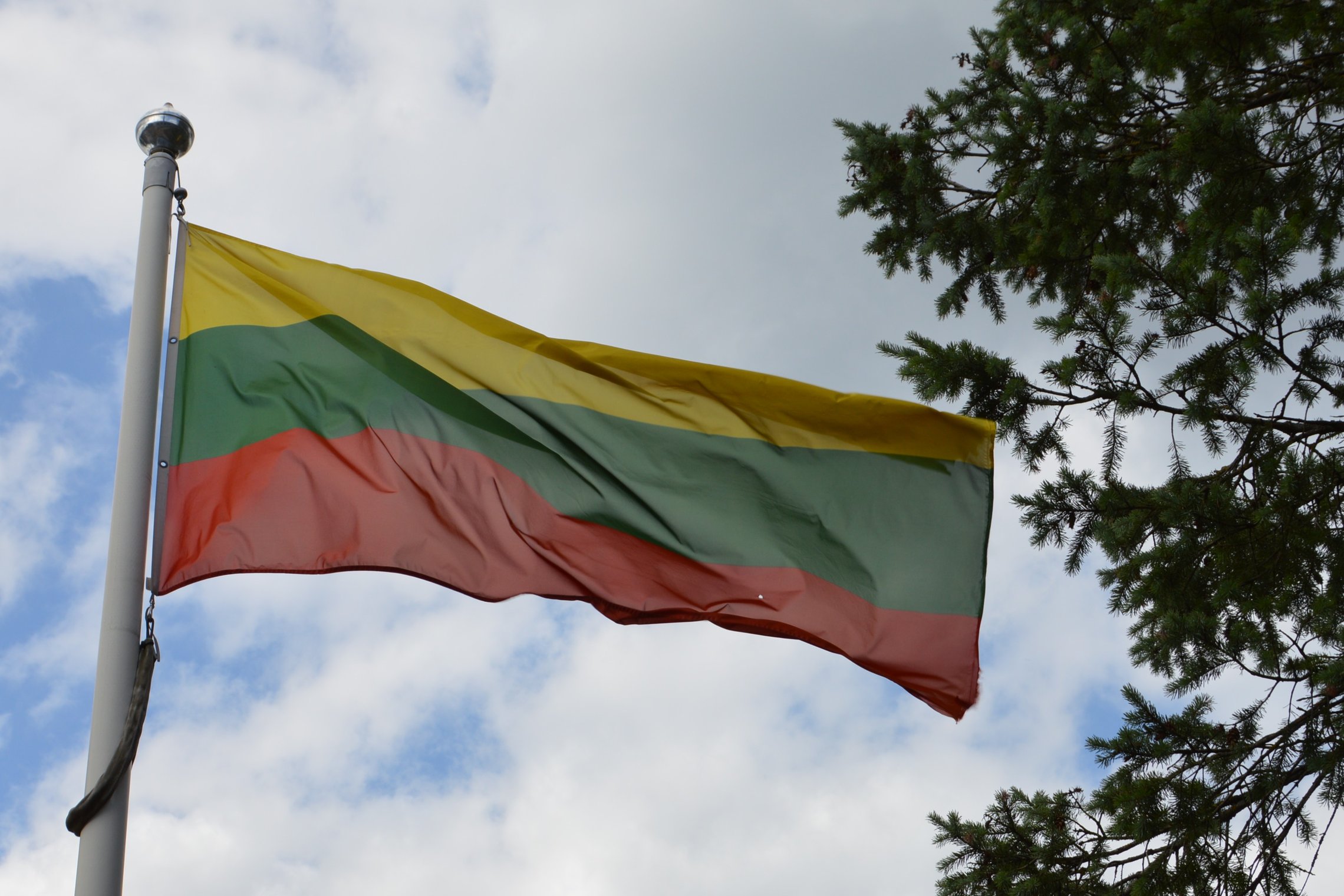 Iliustracija